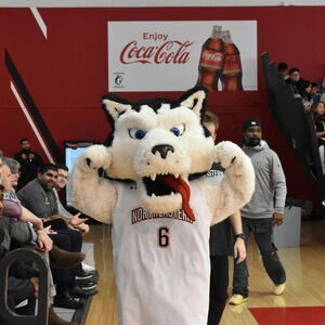 Team Page: Northeastern CCE